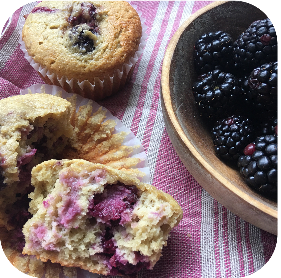 SunFlour Muffin Mix | Low Carb, High Protein | Full of Fiber | Gluten & Nut Free | Low Glycemic